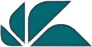 Logo Footer